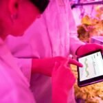 boost your digital growth