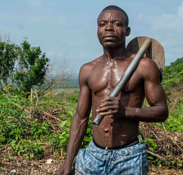 Strengthen Your Growth 1513759806 Digital Tools