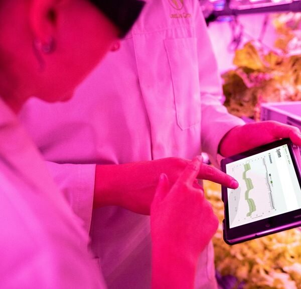 Maximize Your Growth 9127127099 Digital Tools